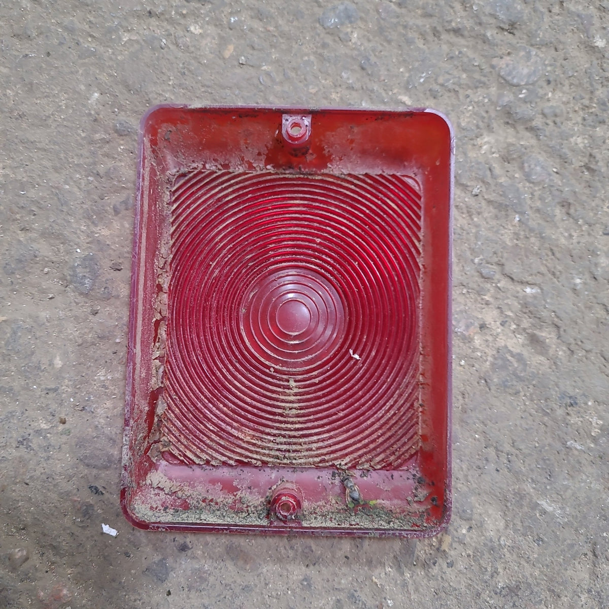 Buy Used RV Tail Light Assembly Replacement Lens Online Young Farts RV Parts