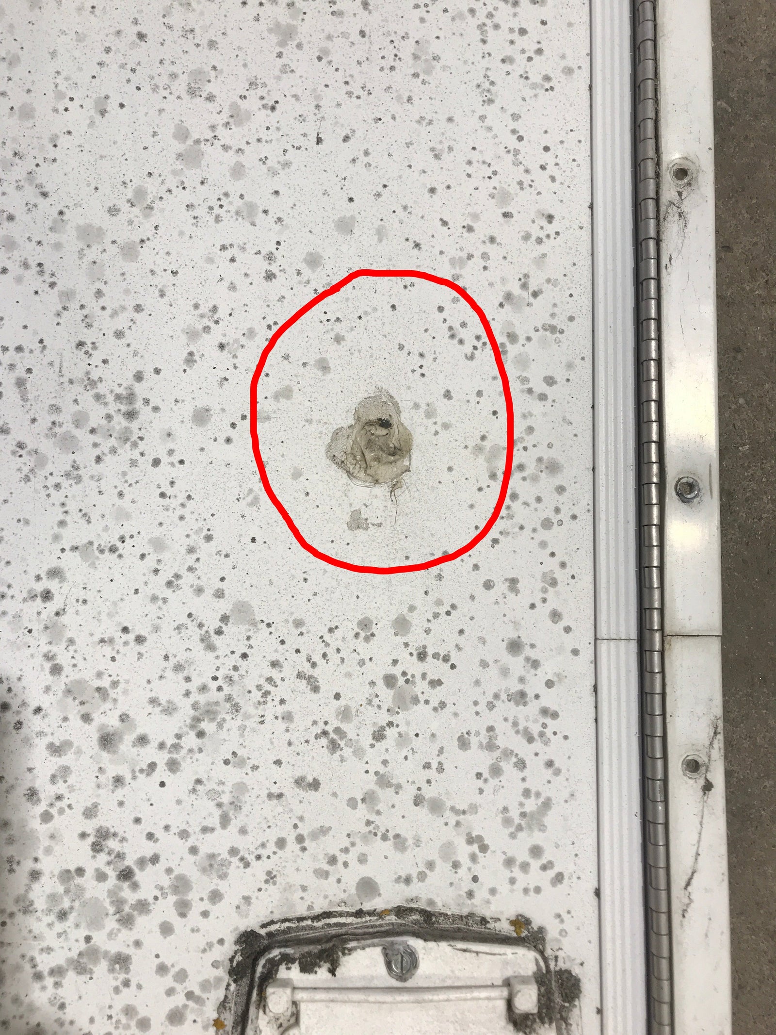 Used Radius Cornered Propane Cargo Door 29 7/8