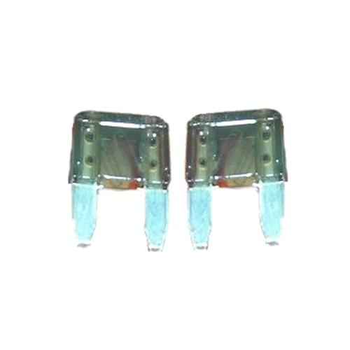 Buy 2 amp fuse mini pair online young farts rv parts