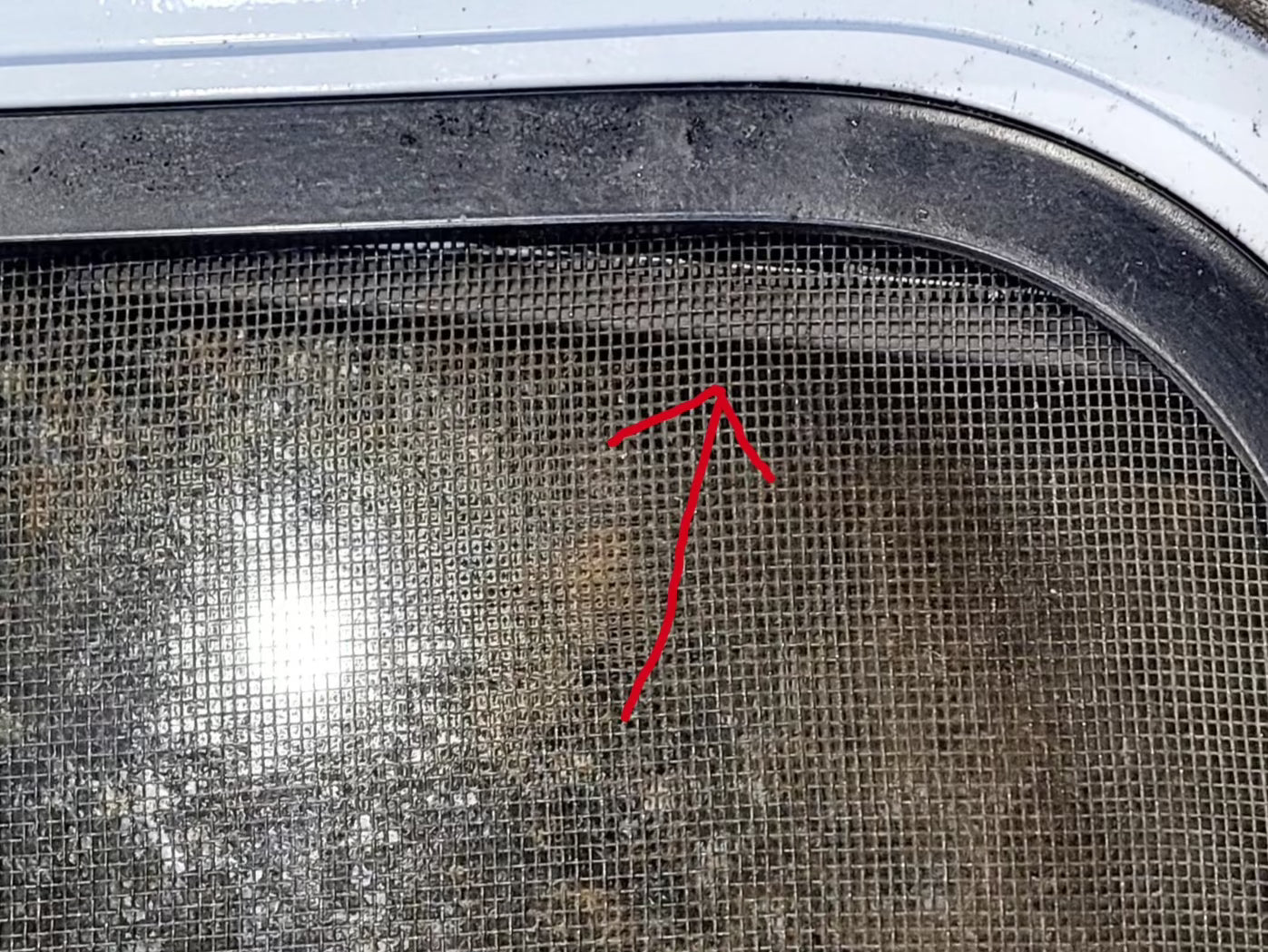 Used White Radius Opening Window : 48 1/4