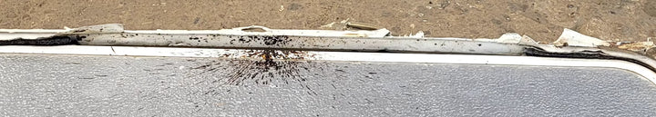 Used Radius Cornered Cargo Door 29 7/8" x 25 7/8" x 1/2"D - Young Farts RV Parts
