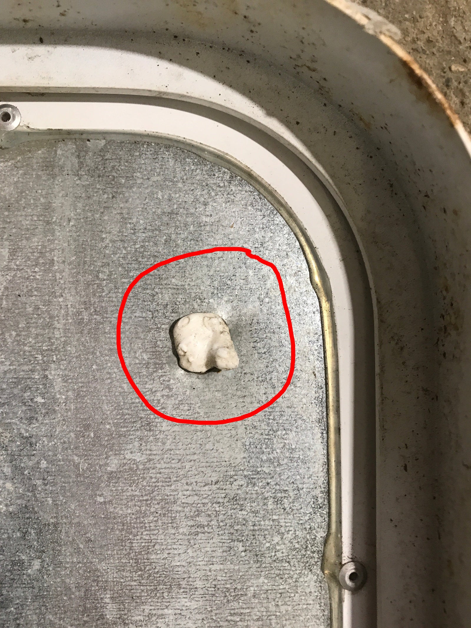 Used Radius Cornered Cargo Door 19 3/4