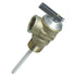 3/4" Temperature and Pressure Relief Valve with 4" Epoxy - Coated Probe - Young Farts RV Parts