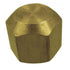 3/8'F.Flare Cap - Young Farts RV Parts