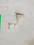 Used Radius Cornered Cargo Door 59 3/4" x  29 3/4" x 1" D
