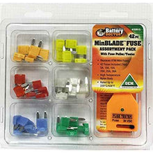 Load image into Gallery viewer, 42PC MINBLADE FUSE KIT - Young Farts RV Parts