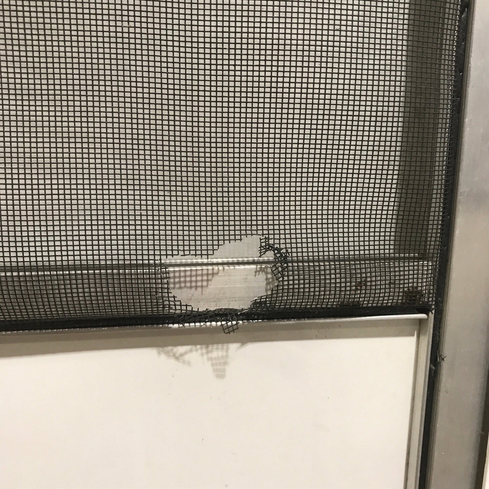 Used RV Square Corner Entry Door 26 3/4
