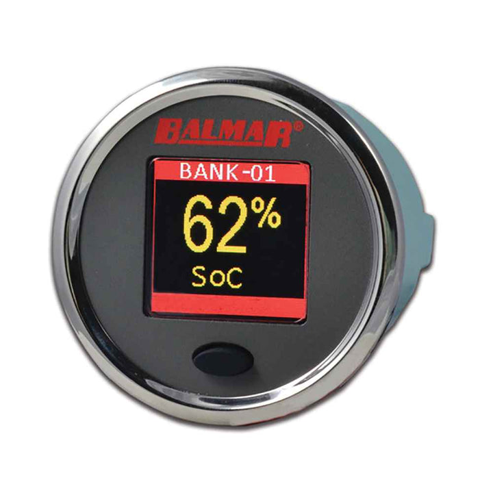 Color Display f/SG200 2 - 1/16" Second Display - Young Farts RV Parts