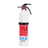 Fire Extinguisher BRK Electronics FE1A10GOWA - Young Farts RV Parts