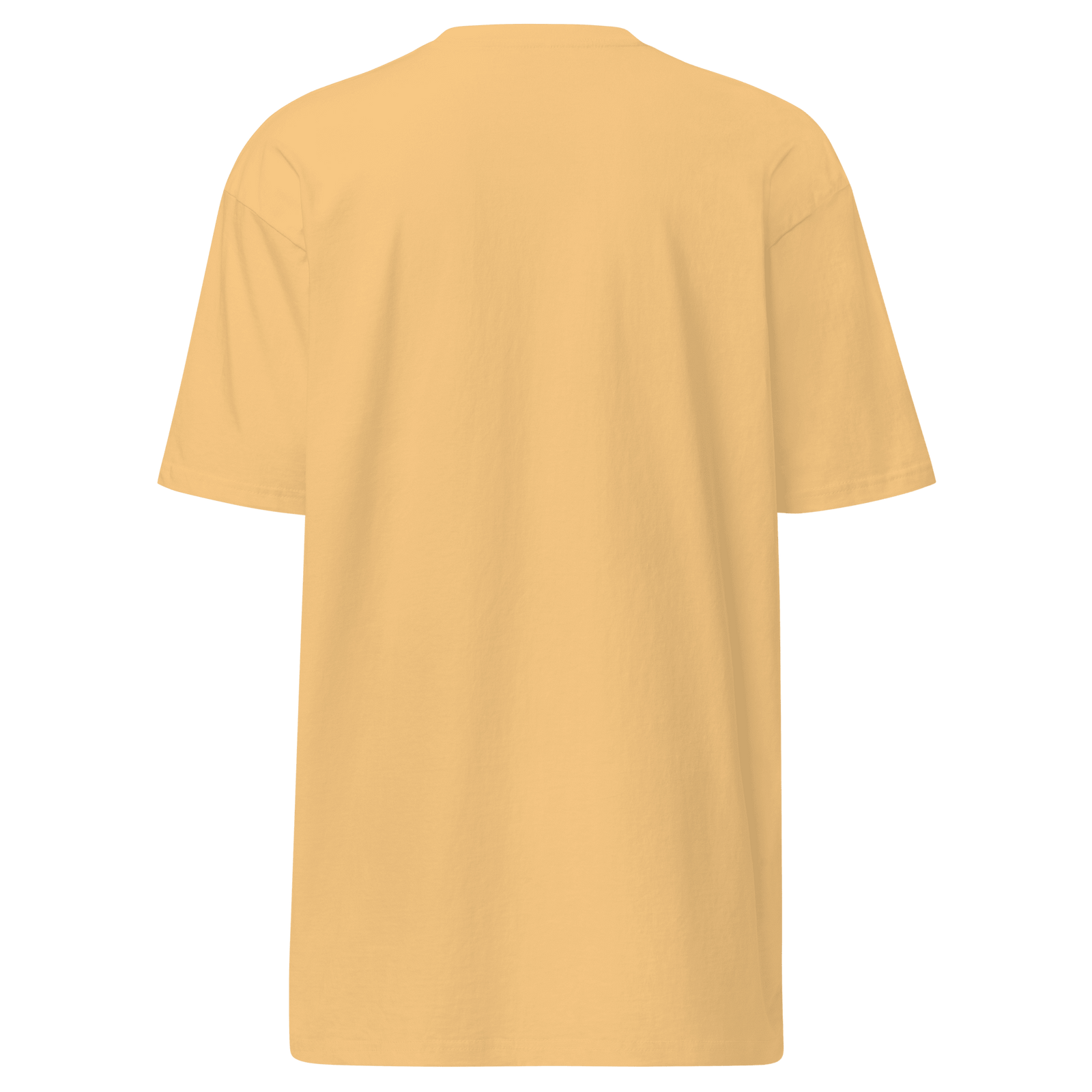 I’m a Professional T-Shirt - Young Farts RV Parts