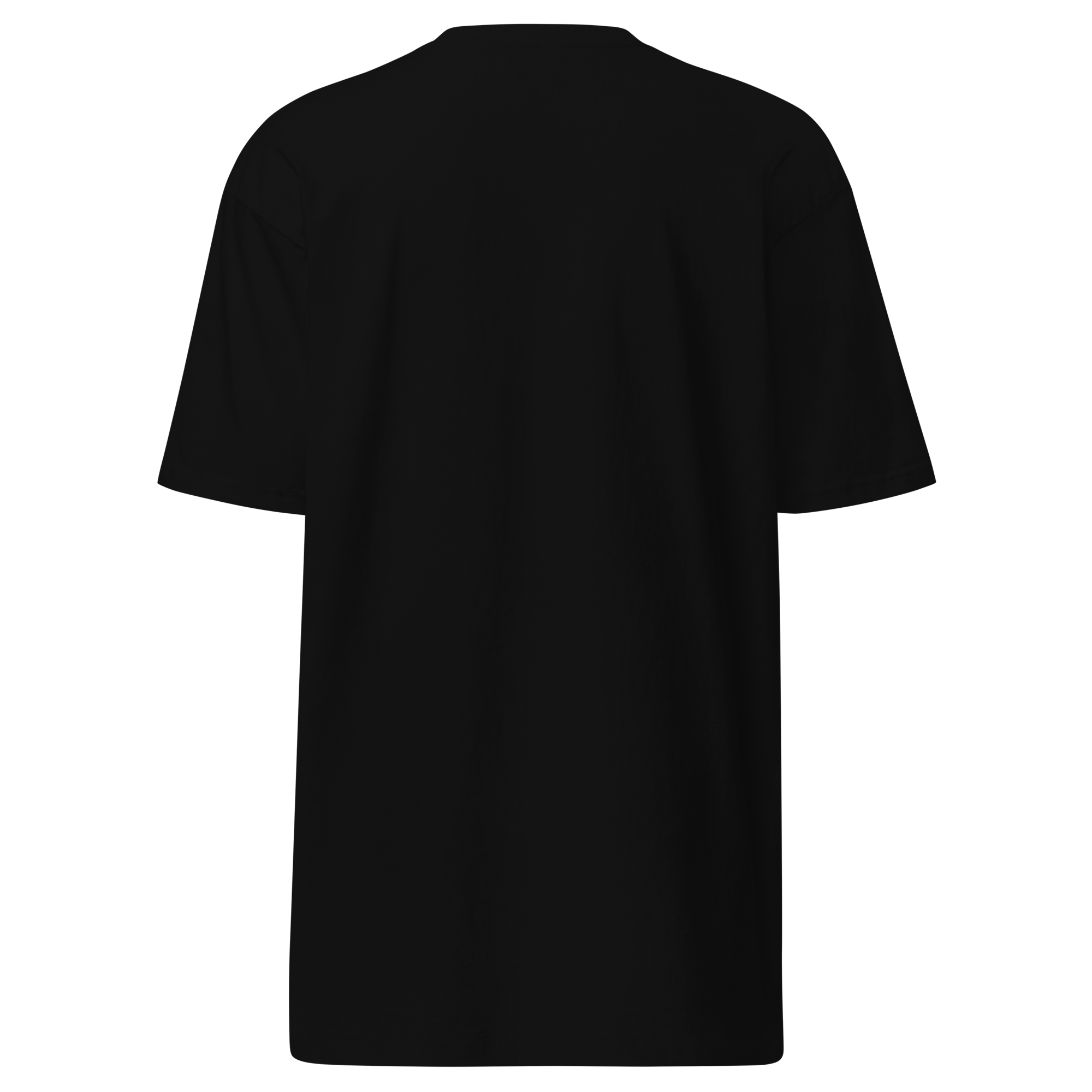 I’m a Professional Young Farts character T-Shirt in Charcoal Heather