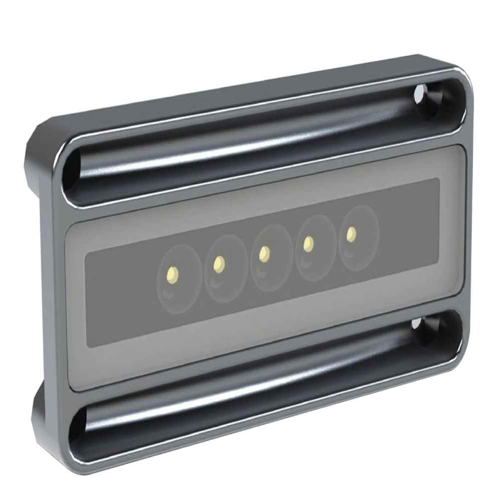 Nevis2 - High Intensity Engine Room & Utility Light - Brushed Finish - 2 - Color White/Red Dimming - Young Farts RV Parts