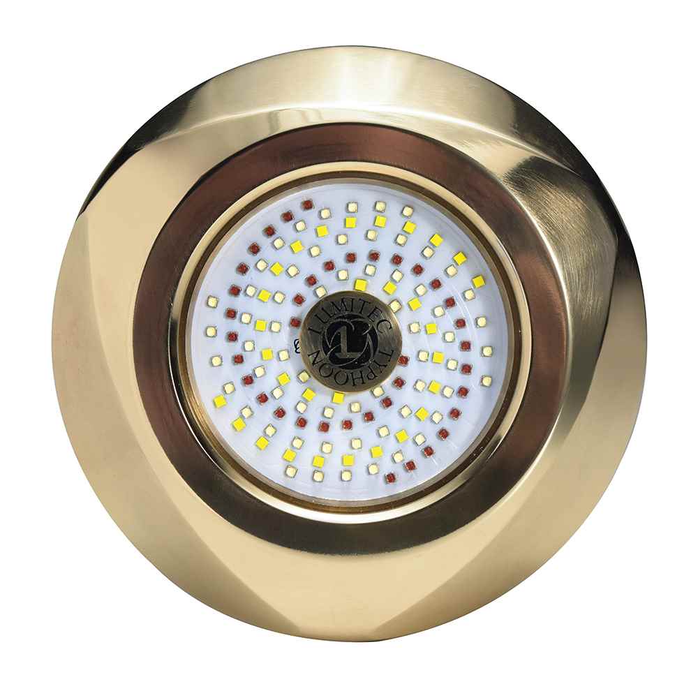 Typhoon Underwater Bronze Thru - Hull LED Light - RGBW Spectrum - Young Farts RV Parts