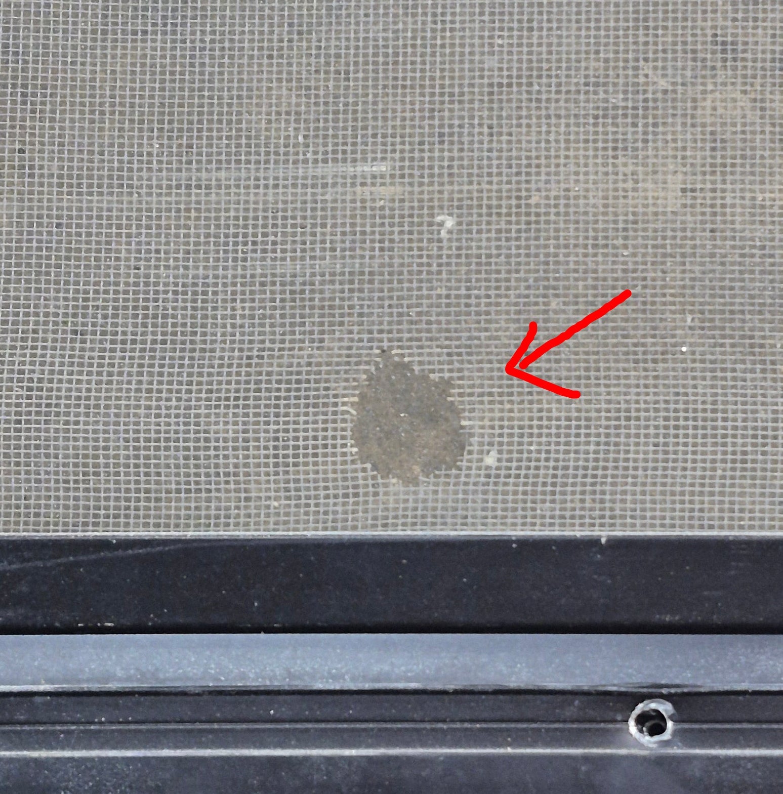 Used Black Radius Opening Window : 41 1/4