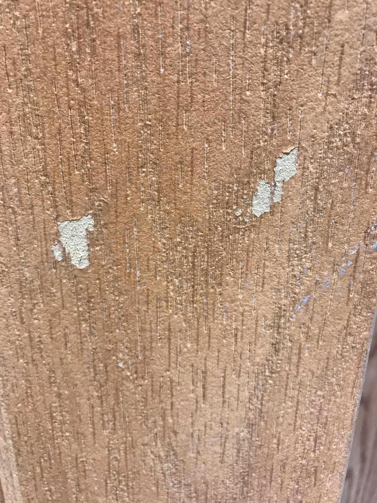 Used Interior Wooden Door 20" W x 72" H x 1 5/8" D - Young Farts RV Parts