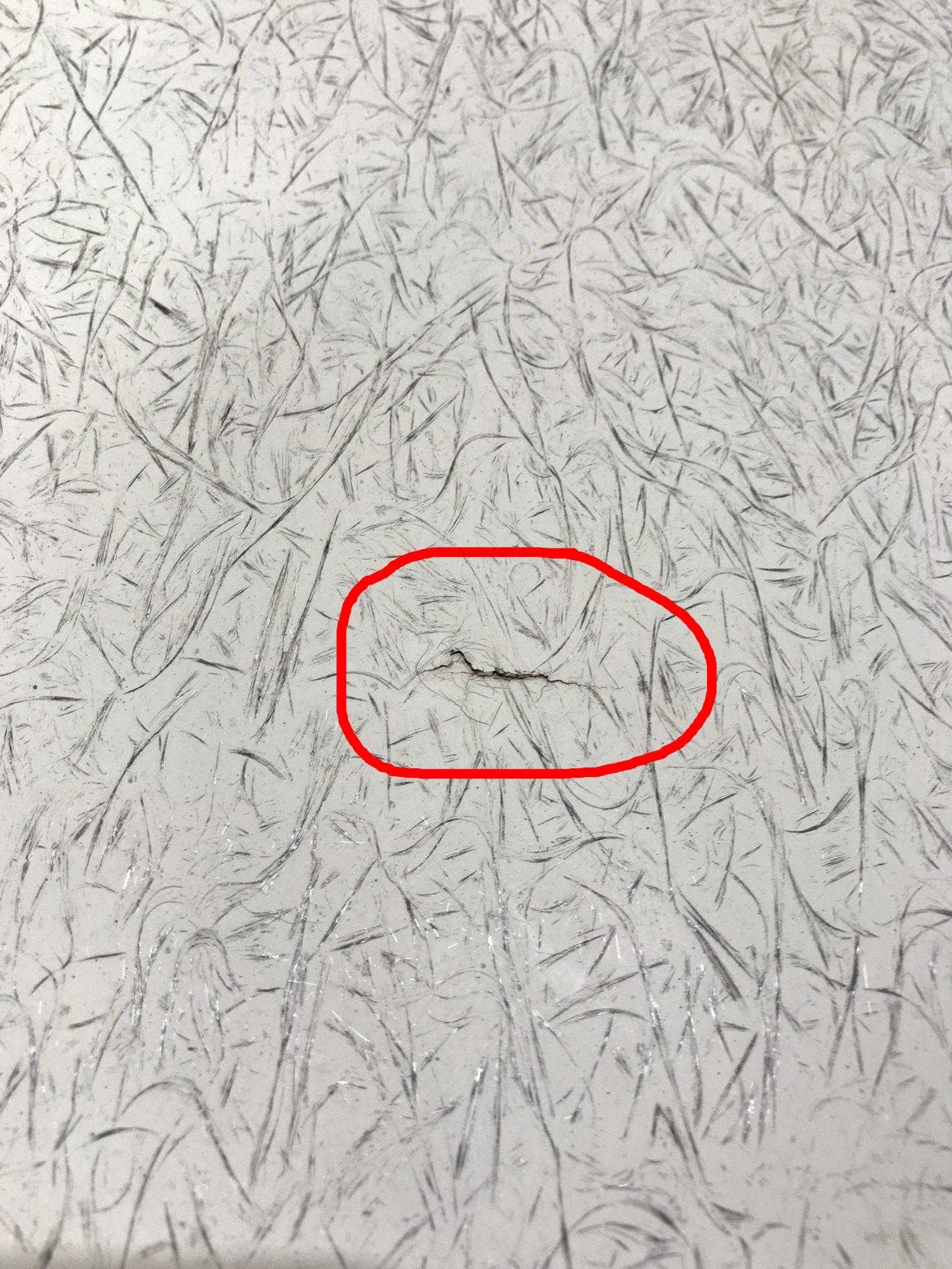 Used Radius Cornered Cargo Door 23 1/4