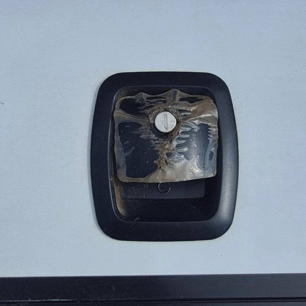 Used Radius Cornered Cargo Door - 71 7/8