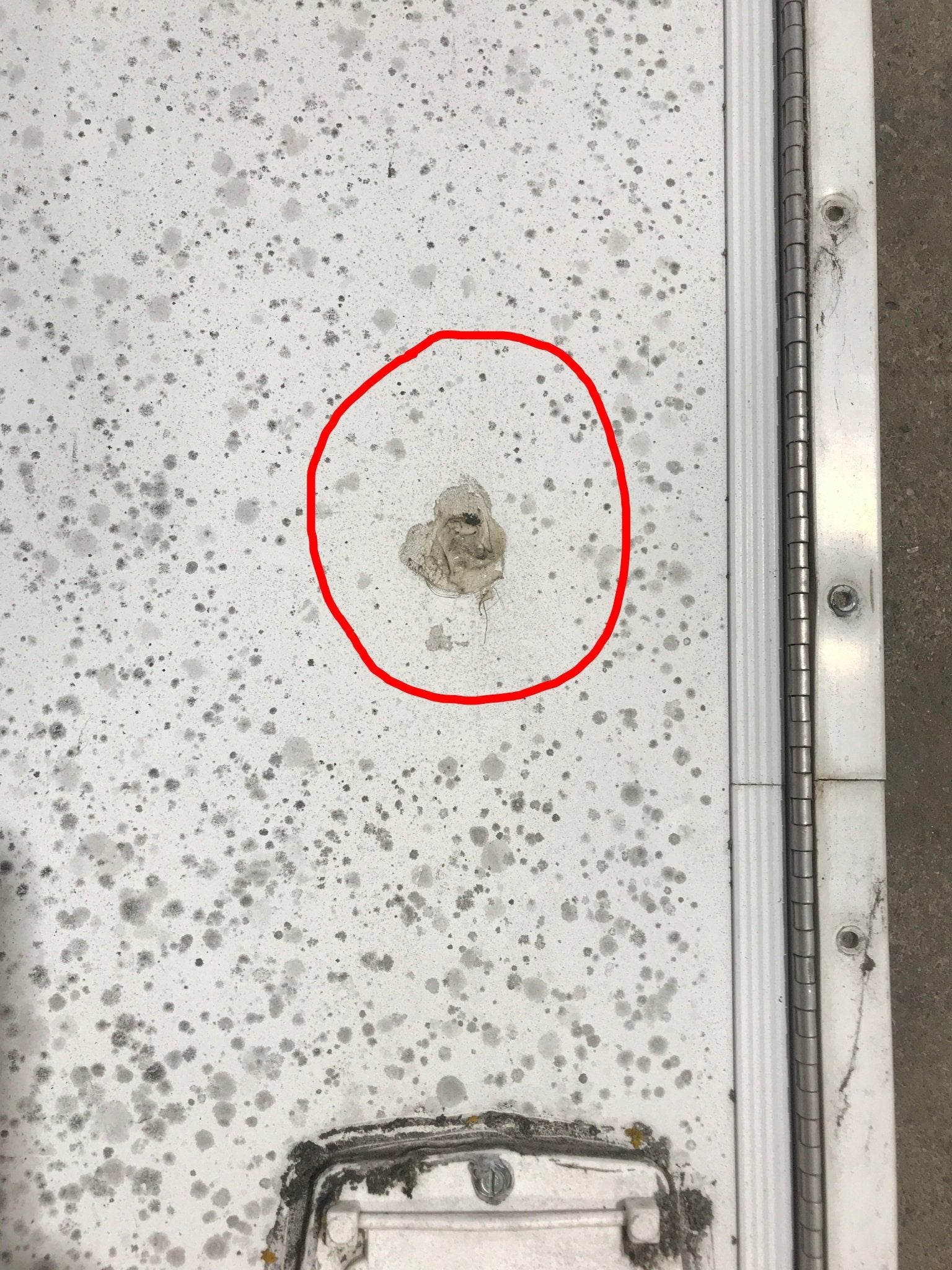 Used Radius Cornered Propane Cargo Door 29 7/8