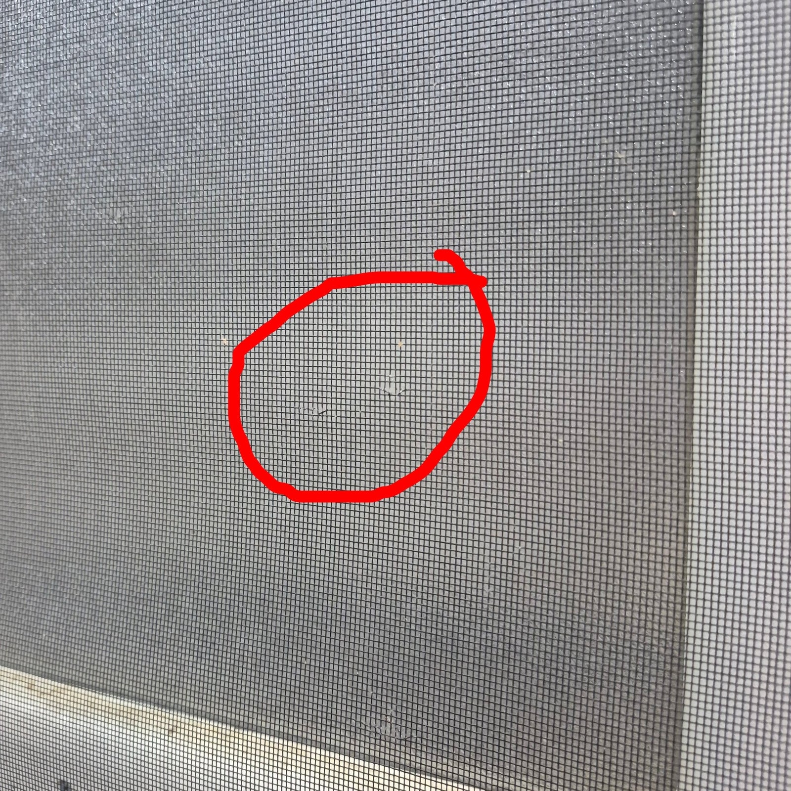 Used RV Radius Entry Door 25 1/2