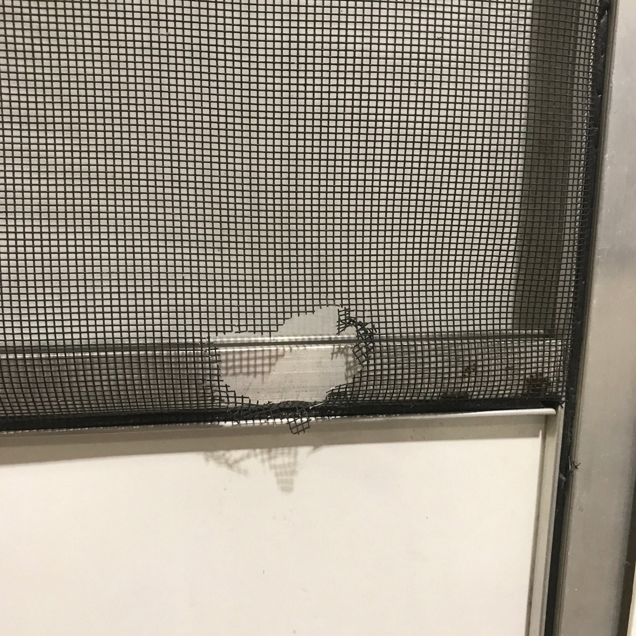 Used RV Square Corner Entry Door 26 3/4" W x 70 1/2" H - Young Farts RV Parts