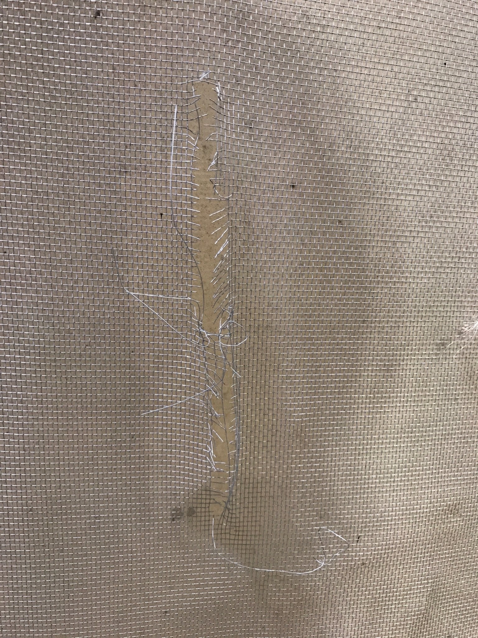 Used Tent Trailer Square Entry Door 23 7/8" X 78" - Young Farts RV Parts