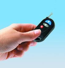 Load image into Gallery viewer, carefree/co. R060430003 *SPECIAL ORDER* KEY FOB WIND SMART - Young Farts RV Parts