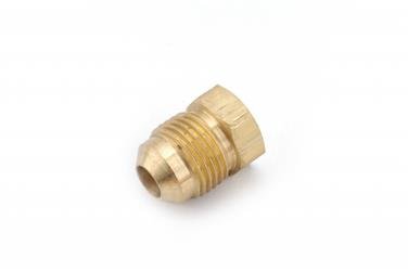 Fitting Plug/ Fitting Cap Anderson Fittings 704039-06 - Young Farts RV Parts