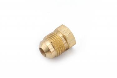 Fitting Plug/ Fitting Cap Anderson Fittings 704039 - 08 - Young Farts RV Parts