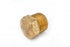 Fitting Plug/ Fitting Cap Anderson Fittings 706125-08 - Young Farts RV Parts