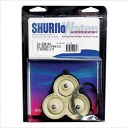 Fresh Water Pump Drive Assembly SHURflo 94-238-04 - Young Farts RV Parts