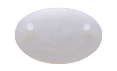 Fresh Water Tank Fill Plug Icon 14122 - Young Farts RV Parts