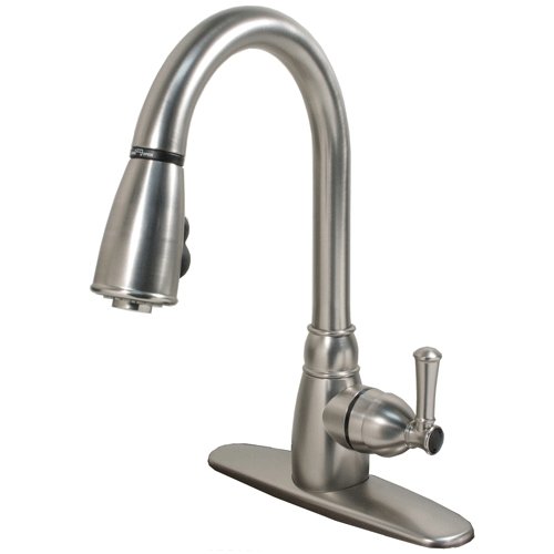 Pull Down Faucet With Plate - Young Farts RV Parts
