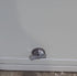Radius Cornered Cargo Door 65 5/8" x 21 3/4" x 1 7/8" D - Young Farts RV Parts