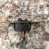 Used 12v RV Double Light Switch - Young Farts RV Parts