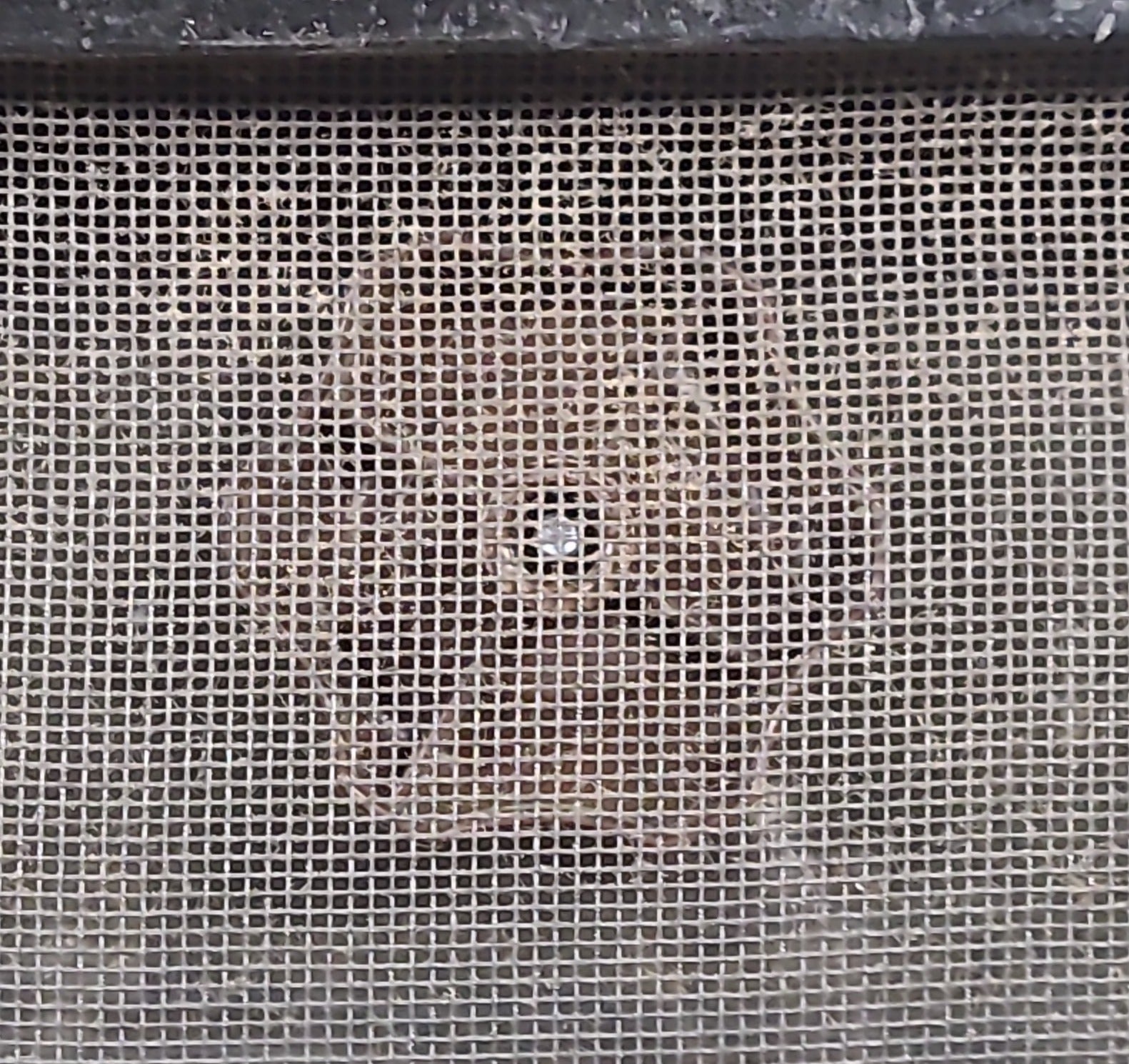 Used Black Radius Emergency Opening Window : 36 1/2