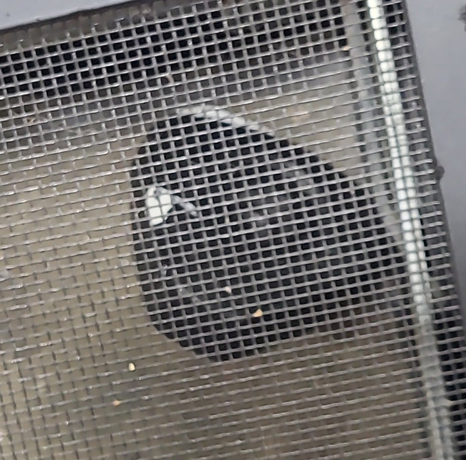 Used Black Radius Emergency Opening Window : 41 3/8