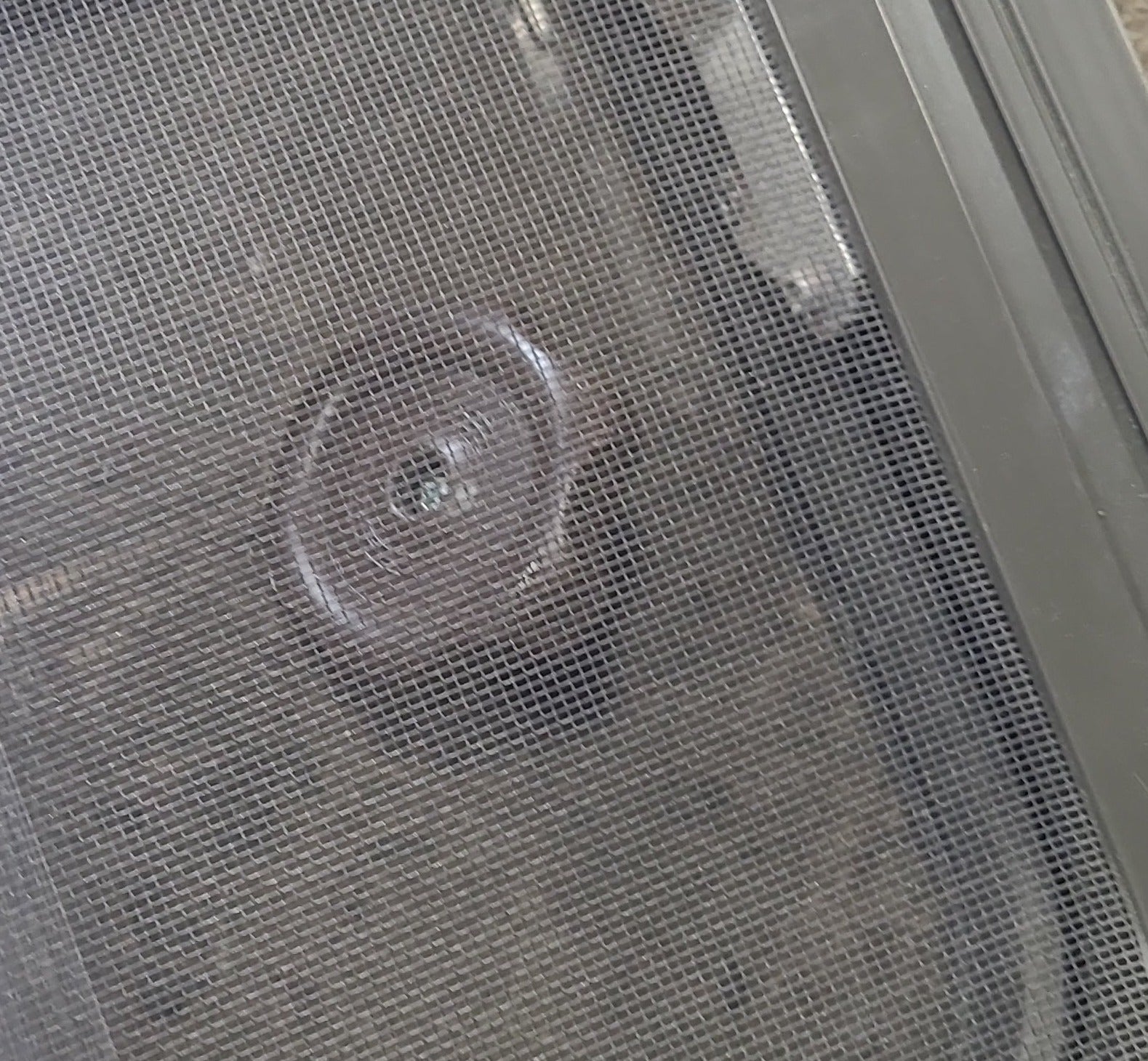 Used Black Radius Opening Window : 48 3/4