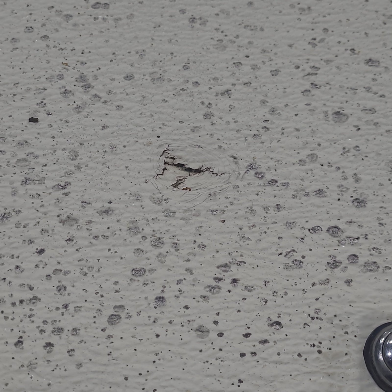 Used Radius Cornered Cargo Door 19 7/8