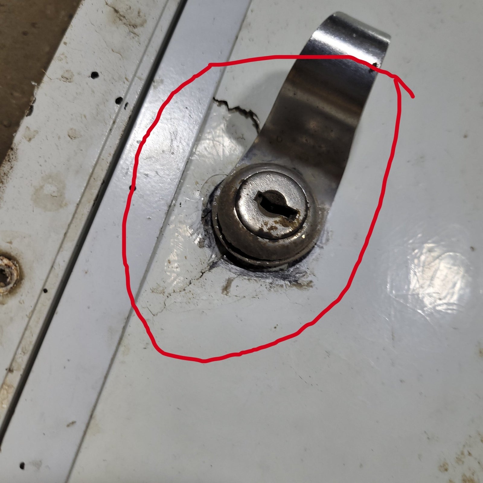 Used Radius Cornered Cargo Door 29 5/8