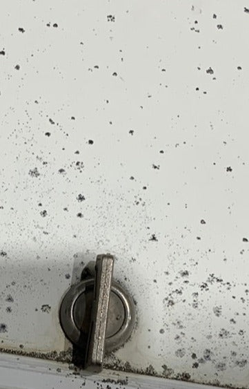 Used RV Cargo Doors 30 3/4