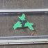 Used Silver Square Opening Window: 59 3/4" W x 18" H x 1 3/8" D - Young Farts RV Parts
